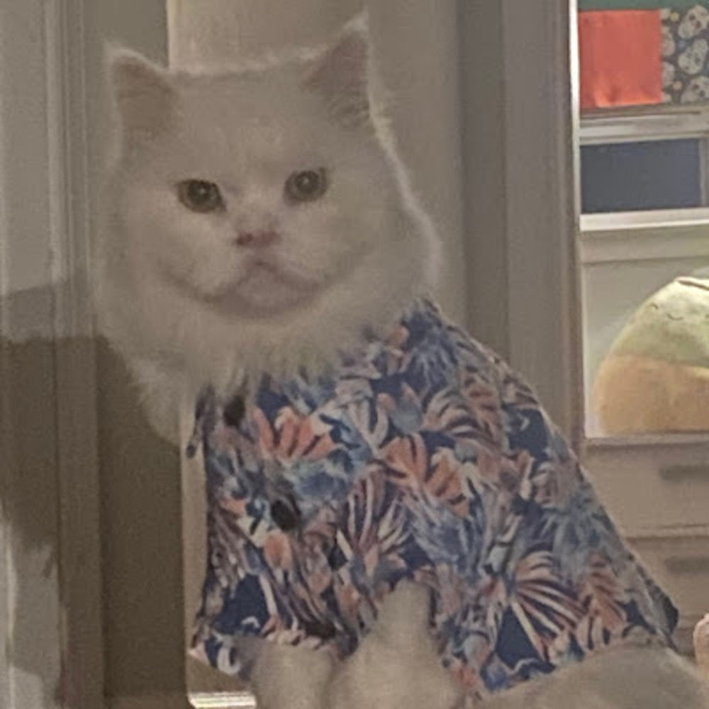 Meet your Posher, H.payne